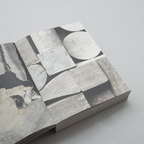 Birgitta De Vos / Omnipresent | Beyond Borders