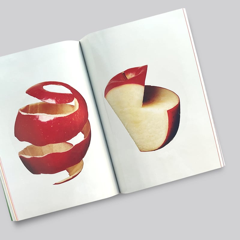 海外 アートワークス 4冊セット ジャスパー・ジョーンズ【Catalogue Raisonne; of Painting and