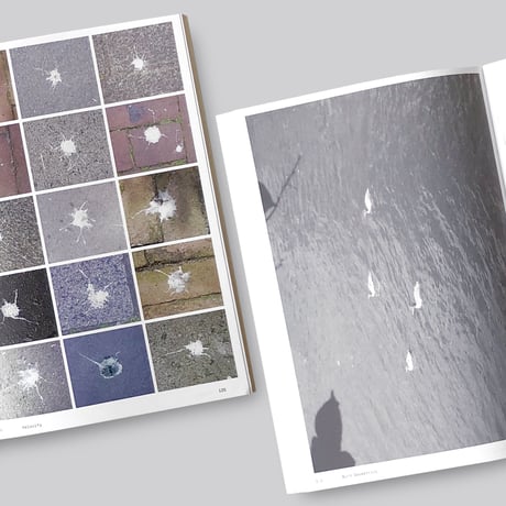 Anne Geene & Arjan De Nooy / Ornithology
