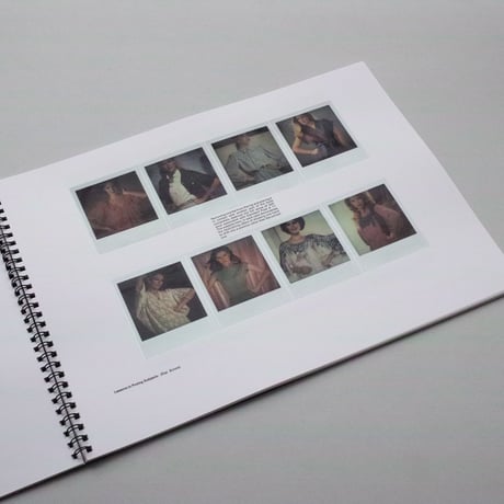 Robert Heinecken / Lessons in Posing Subjects