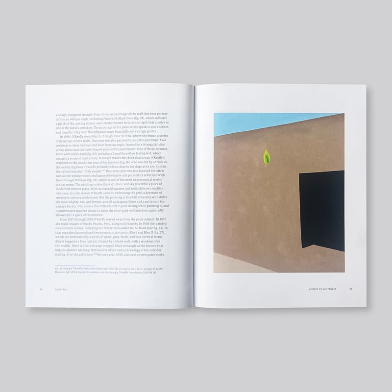 Georgia O'Keeffe / The Late Work | POST