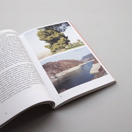 Taco Hidde Bakker / The Photograph That Took the Place of a Mountain