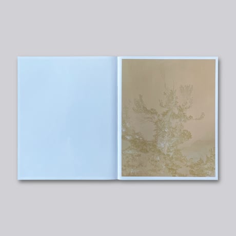 Aaron Rothman / The Sierra