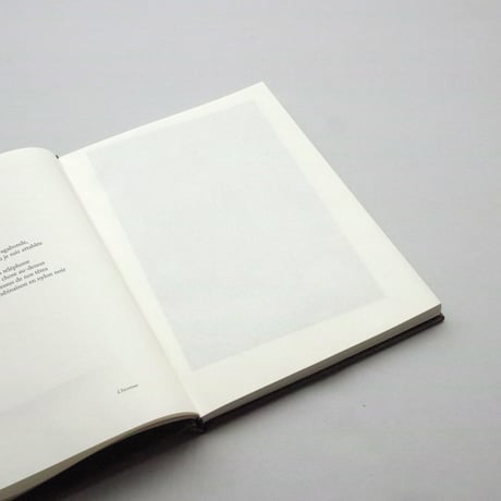 Sophie Calle / Because