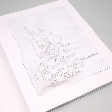 James Drake / Red Drawings & White Cut-outs 