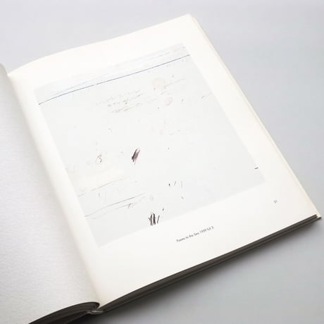 Cy Twombly / Series sobre paper 1959-1987