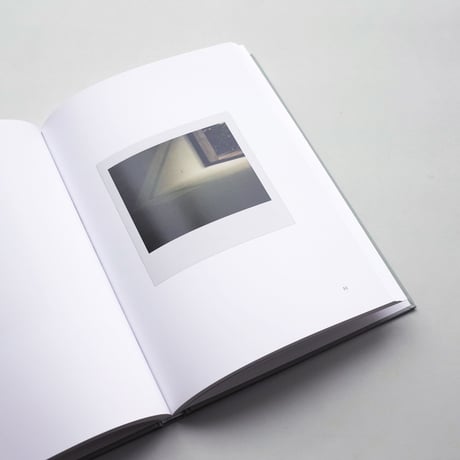 Luc Tuymans / Ende