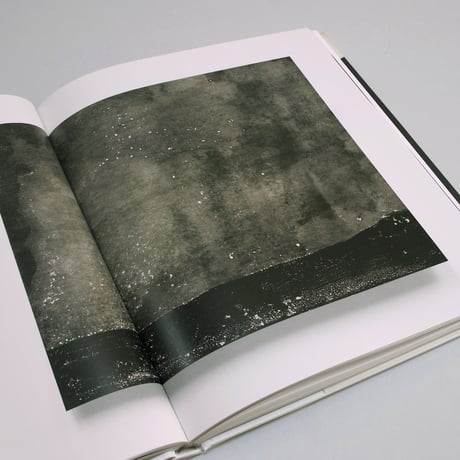 Alison Rossiter  / EXPIRED PAPER