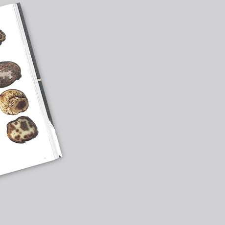 Lizan Freijsen / The Living Surface - An Alternative Biology Book On Stains
