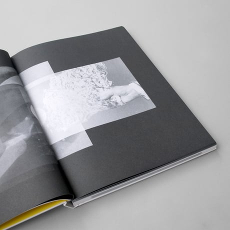 Alexandra Navratil / Brittle Land