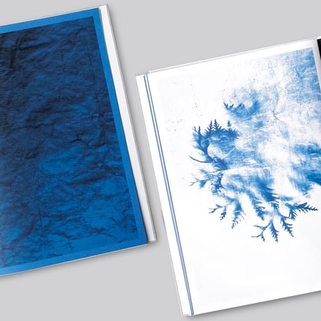 Charlott Markus / Some Things Bleak