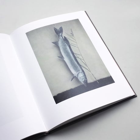 Inger Krauss / 39 Bilder