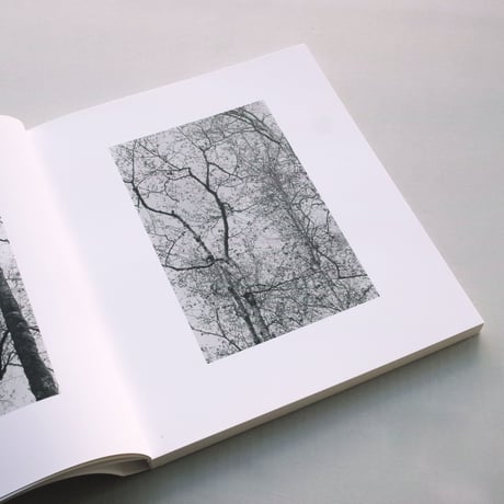 Robert Adams / Sea Stories