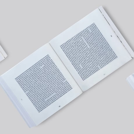 Peter Delpeut / Gerco De Ruijter - Grid Corrections