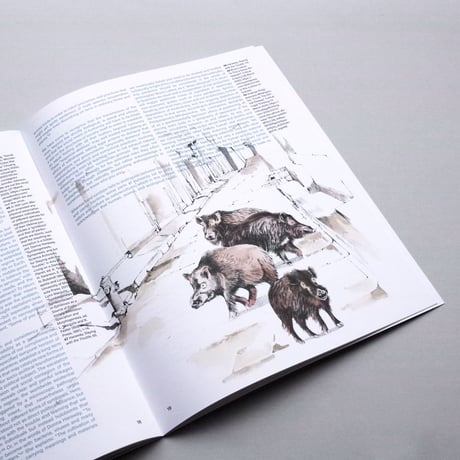 Niekolaas Johannes Lekkerkerk / Bestiary of Corona Animals