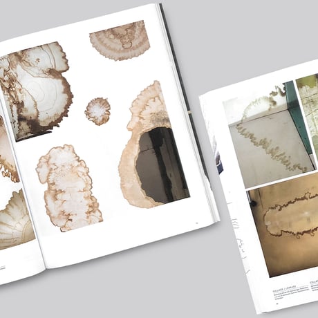 Lizan Freijsen / The Living Surface - An Alternative Biology Book On Stains