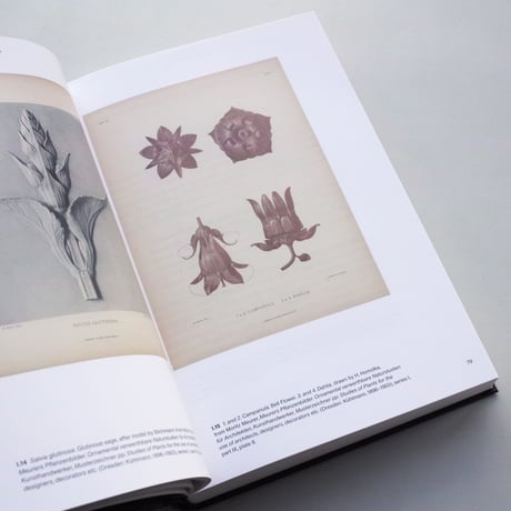 Ulrike Meyer Stump / Karl Blossfeldt: Variations