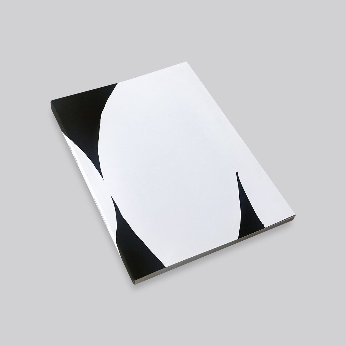 アート・デザイン・音楽 Jochen Lempert: Paare / Pairs Paare / Pairs / Jochen Lempert - Utrecht