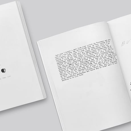 William Wegman / Writing by Artist
