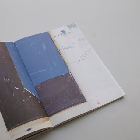 G1710 Gafpa, Maarten Van Den Driessche, Aglaia Konrad, Bert Huyghe, Primary Structure
