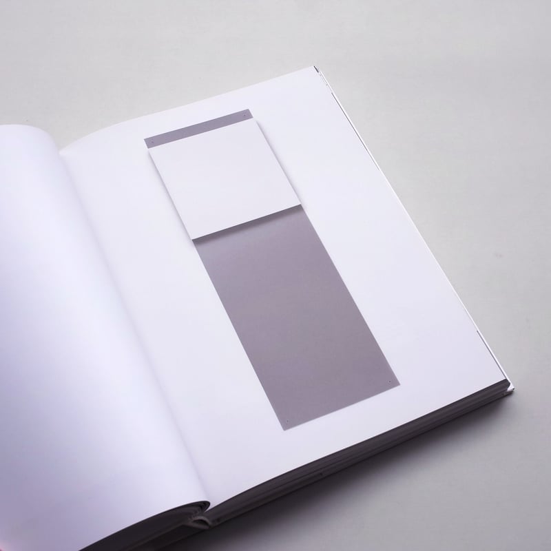 Robert Ryman | POST
