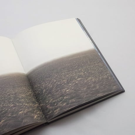 Roni Horn / Arctic Circles