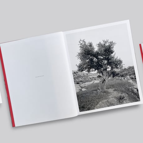 Adam Broomberg, Rafael Gonzalez / Anchor in the Landscape