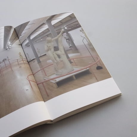 Koenraad Dedobbeleer / Kunststoff