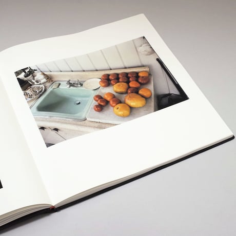 William Eggleston / The Democratic Forest. Selected Works
