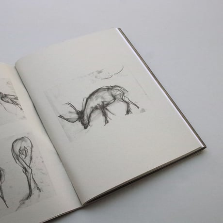 Stephanie Quayle / ANIMAL