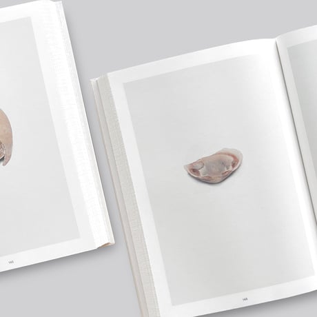Nina Canell / Shell Reader