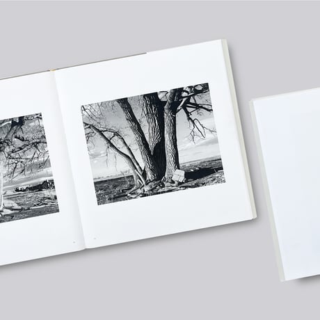 Robert Adams / Cottonwoods