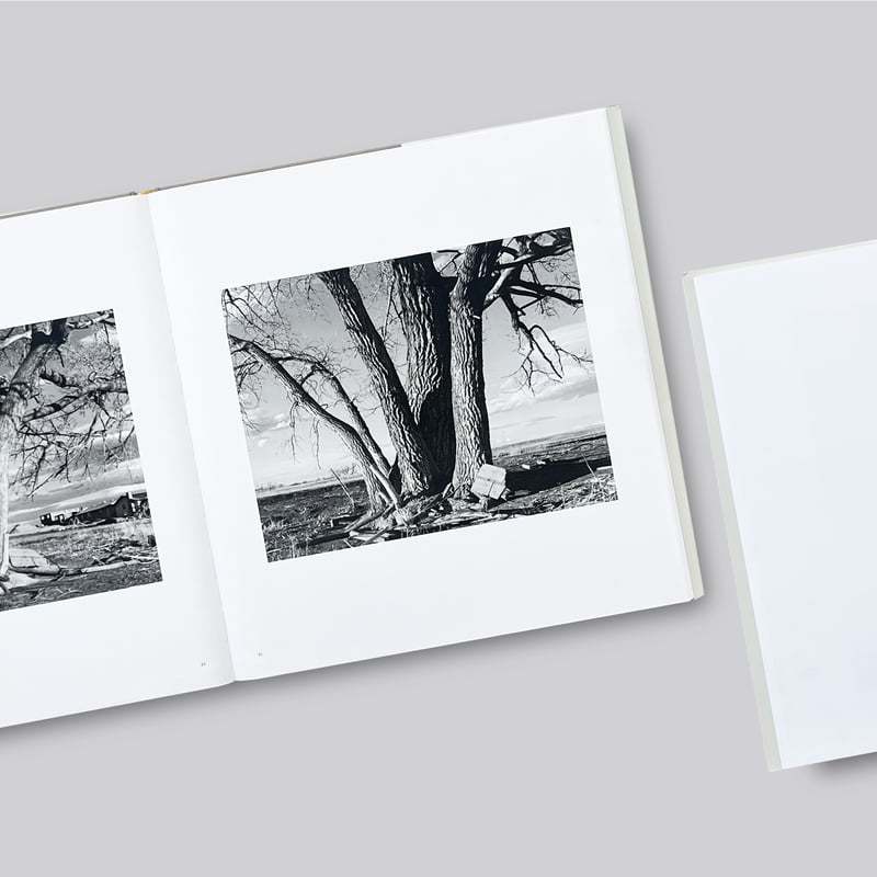 Robert Adams / Cottonwoods | POST