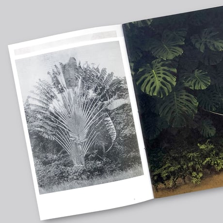 Oriane Thomasson / Paradis