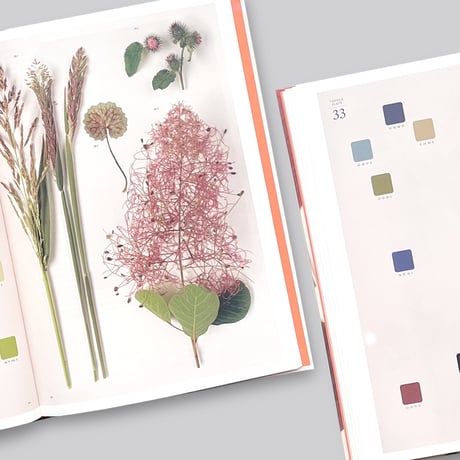 Chromatic Herbarium / Massimo Gardone, Alessandra Muran