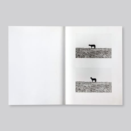 Jochen Lempert / Paare / Pairs