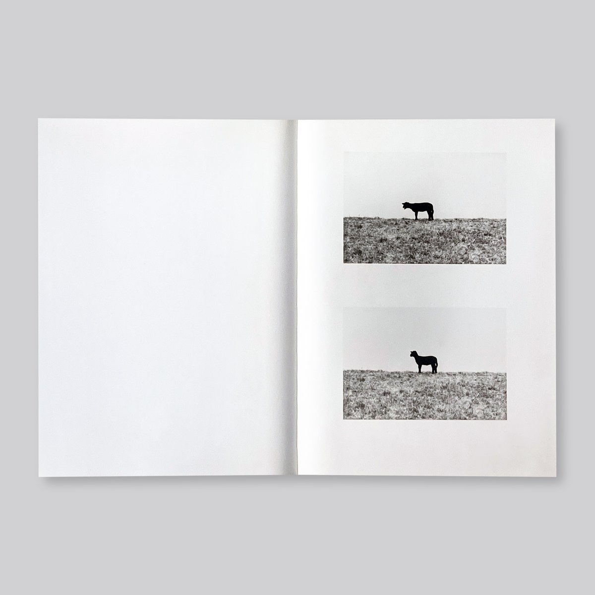 Jochen Lempert / Paare / Pairs | POST