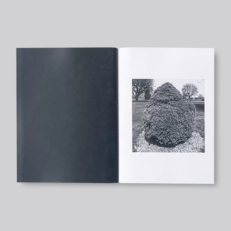 Mike Slack / Shrubs of Death