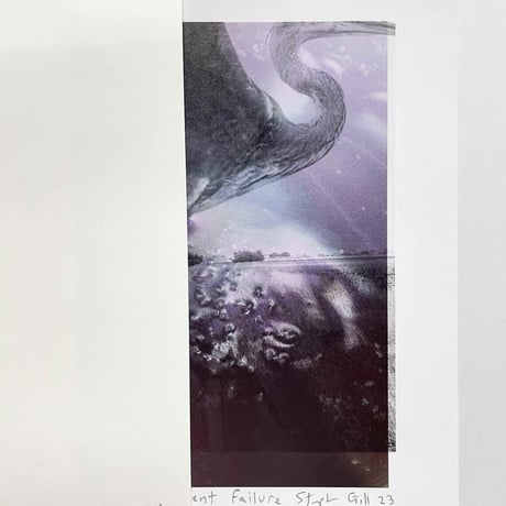 Stephen Gill / Magnificent Failure Print Edition