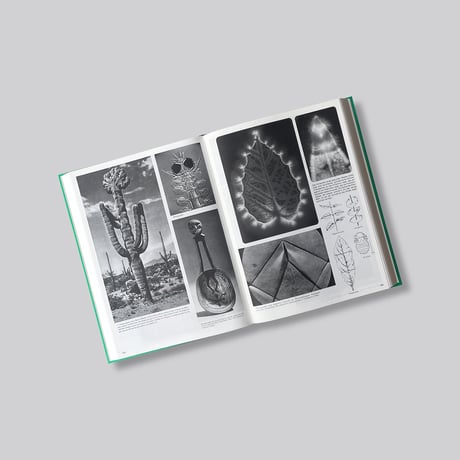 Batia Suter / Parallel Encyclopedia 2 Revised Edition