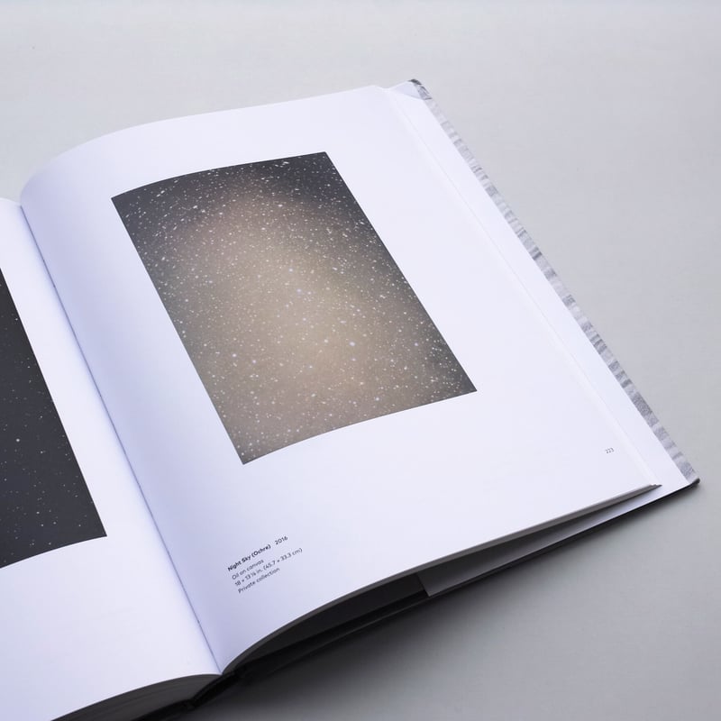 VIJA CELMINS | Matthew Marks Gallery