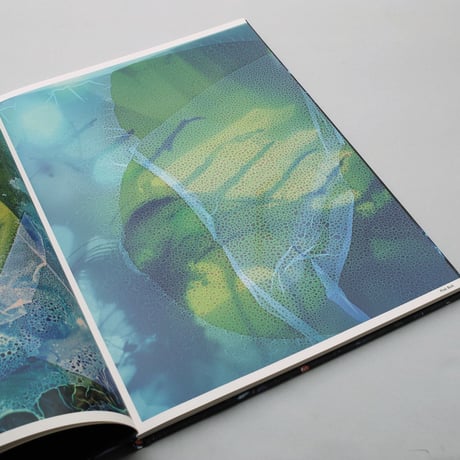 Stephen Gill / Best Before End