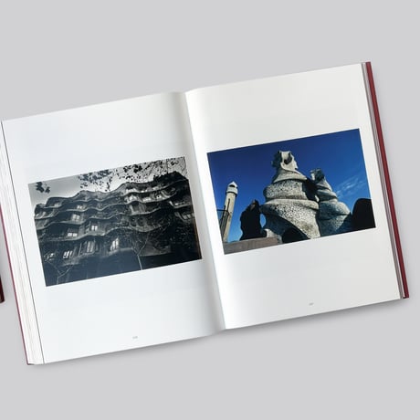 Yasufumi Nakamori / EIKOH HOSOE[JAPANESE EDITION]
