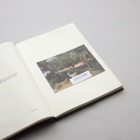 Sophie Calle / Because