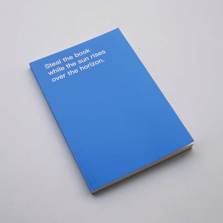 David Horvitz / How To Shoplift Books