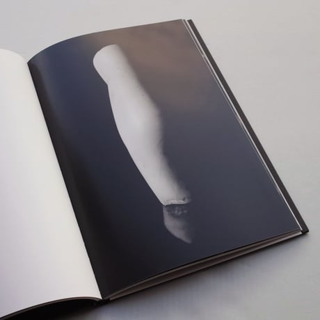 Dan Er Grigorescu / BRANCUSI