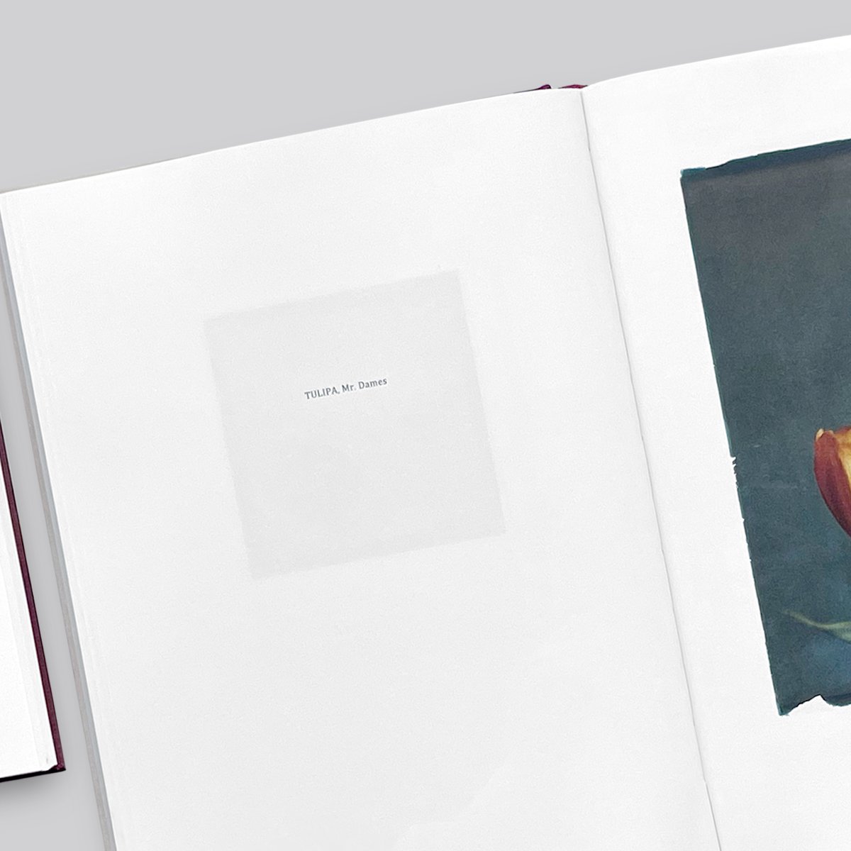LEENDERT BLOK / LES EXTRAVAGANTES | POST