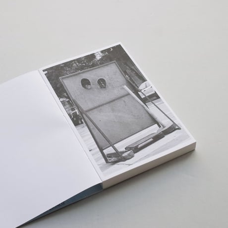 Annegien van Doorn / In Passing