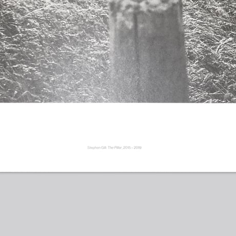 Stephen Gill / The Pillar - Large Poster