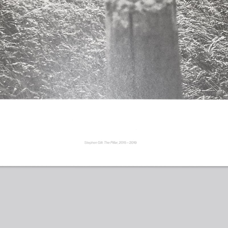 Stephen Gill / The Pillar - Large Poster | POST